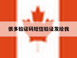 很多验证码短信验证发给我