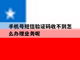 手机号短信验证码收不到怎么办理业务呢