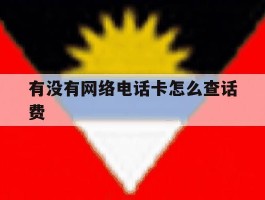 有没有网络电话卡怎么查话费