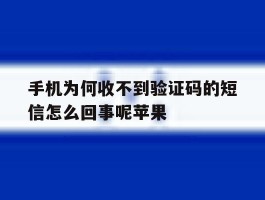 包含手机为何收不到验证码的短信怎么回事呢苹果的词条