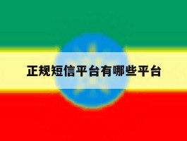 正规短信平台有哪些平台