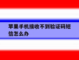 苹果手机接收不到验证码短信怎么办