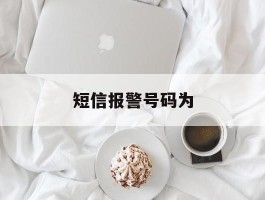 短信报警号码为