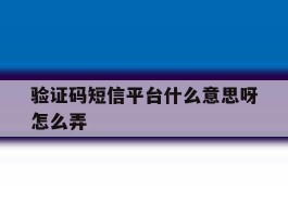 验证码短信平台什么意思呀怎么弄