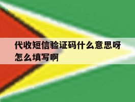 代收短信验证码什么意思呀怎么填写啊的简单介绍