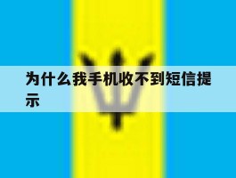为什么我手机收不到短信提示