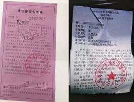 违停无短信通知怎么办理