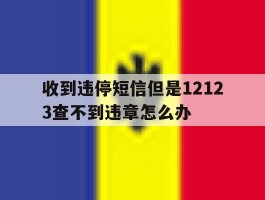 收到违停短信但是12123查不到违章怎么办