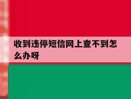 收到违停短信网上查不到怎么办呀