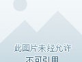 短信报警怎么报南充疫情情况通报