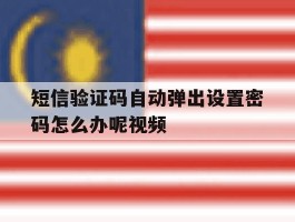 短信验证码自动弹出设置密码怎么办呢视频