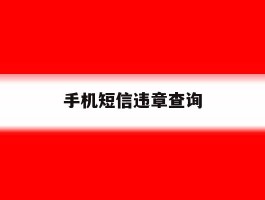 手机短信违章查询