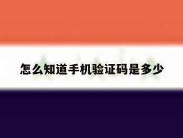 怎么知道手机验证码是多少
