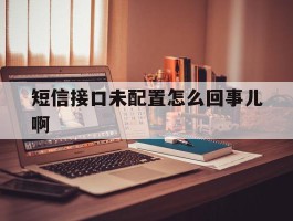 短信接口未配置怎么回事儿啊