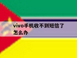 vivo手机收不到短信了怎么办
