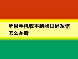 苹果手机收不到验证码短信怎么办呀