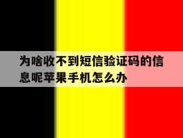 为啥收不到短信验证码的信息呢苹果手机怎么办的简单介绍