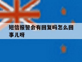 短信报警会有回复吗怎么回事儿呀