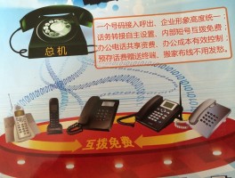虚拟电话怎么交话费