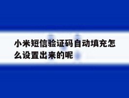 包含小米短信验证码自动填充怎么设置出来的呢的词条