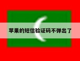 苹果的短信验证码不弹出了