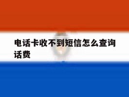 电话卡收不到短信怎么查询话费