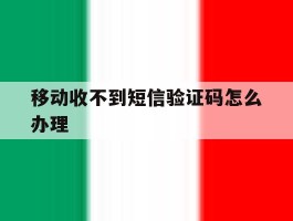 移动收不到短信验证码怎么办理