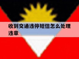 收到交通违停短信怎么处理违章