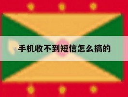 手机收不到短信怎么搞的