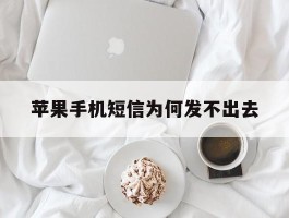 苹果手机短信为何发不出去