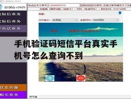 手机验证码短信平台真实手机号怎么查询不到