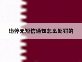 违停无短信通知怎么处罚的