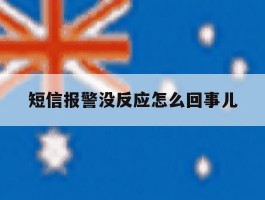 短信报警没反应怎么回事儿