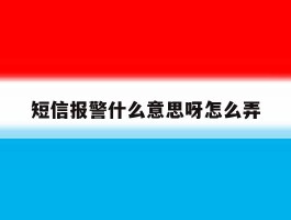 短信报警什么意思呀怎么弄