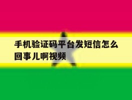手机验证码平台发短信怎么回事儿啊视频
