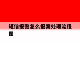 短信报警怎么报案处理流程图