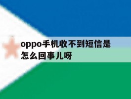 oppo手机收不到短信是怎么回事儿呀