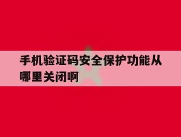 手机验证码安全保护功能从哪里关闭啊