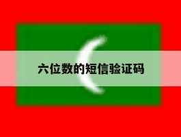 六位数的短信验证码