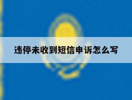 违停未收到短信申诉怎么写