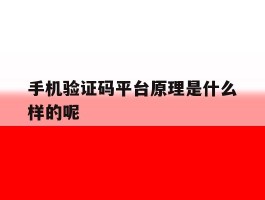 手机验证码平台原理是什么样的呢