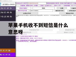 苹果手机收不到短信是什么意思呀