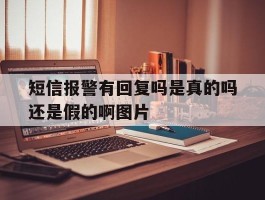 短信报警有回复吗是真的吗还是假的啊图片的简单介绍