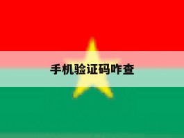 手机验证码咋查