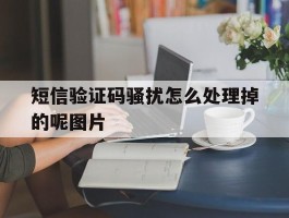 短信验证码骚扰怎么处理掉的呢图片