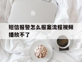短信报警怎么报案流程视频播放不了