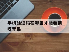 手机验证码在哪里才能看到呀苹果