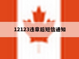 12123违章后短信通知
