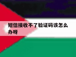 短信接收不了验证码该怎么办呀