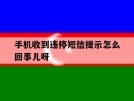 手机收到违停短信提示怎么回事儿呀